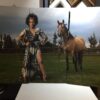 3 piece split canvas prints